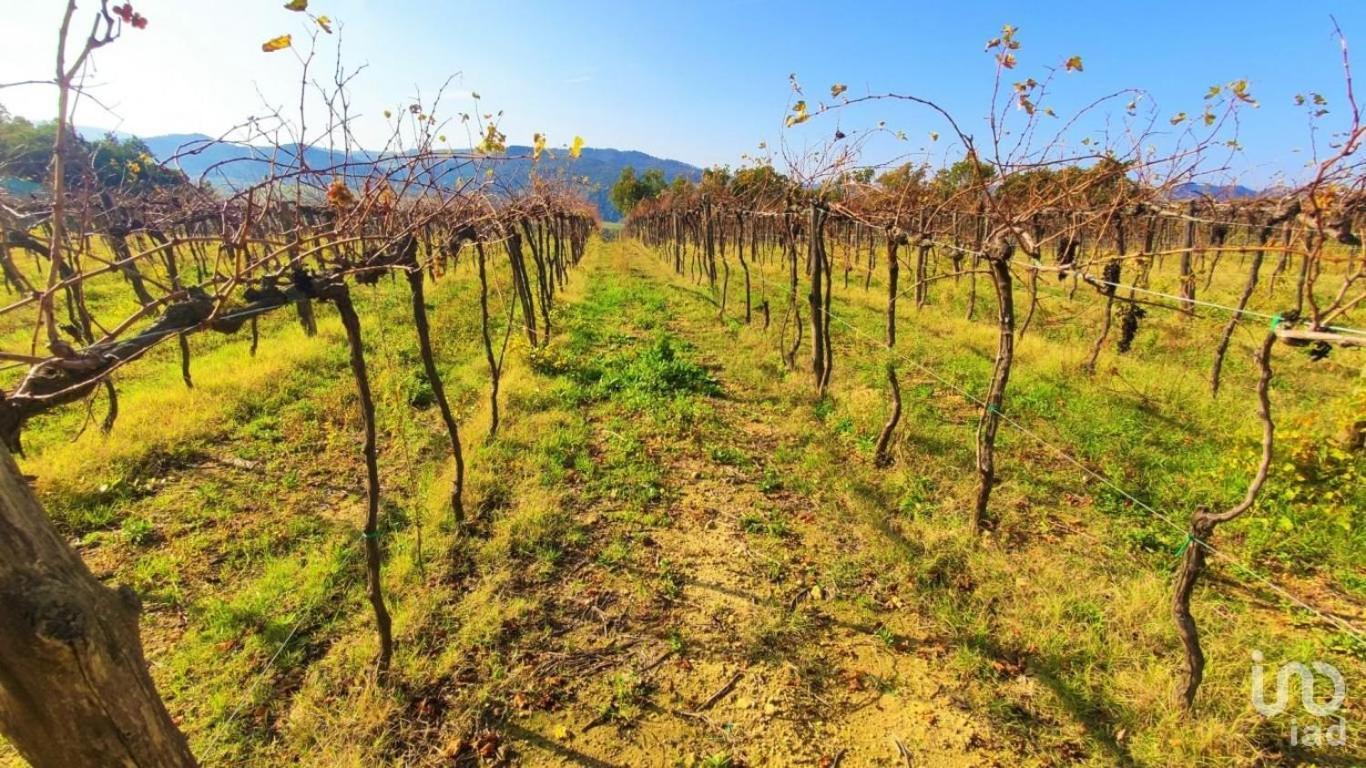 Podere Mona Pomarance Zewnętrze zdjęcie